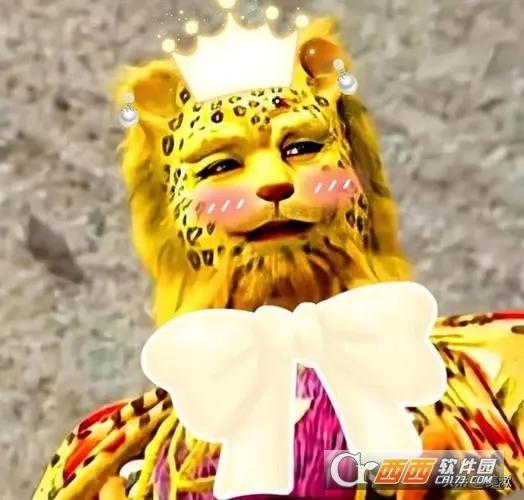 金钱豹头像图片,图片.