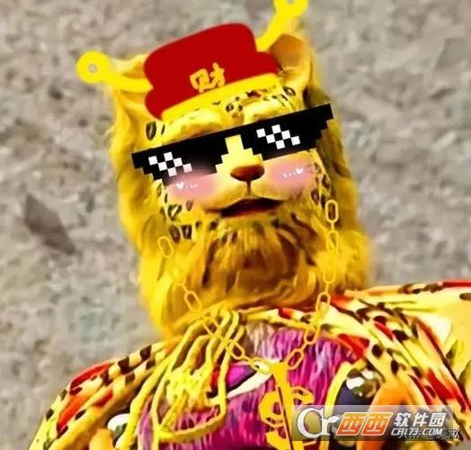 金钱豹头像图片,图片.
