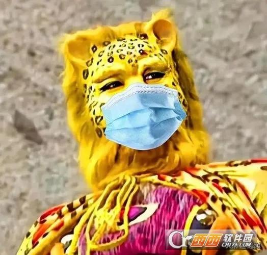 金钱豹头像图片,图片.