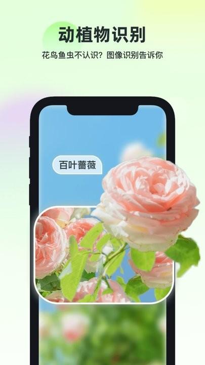 智能识万物app最新版下载,智能识万物,识别app